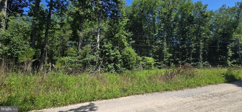 LAND - MINERAL, VA