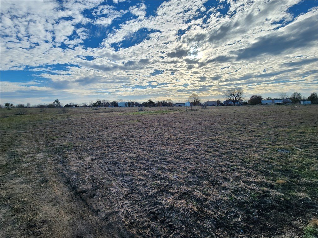 Picture 5
