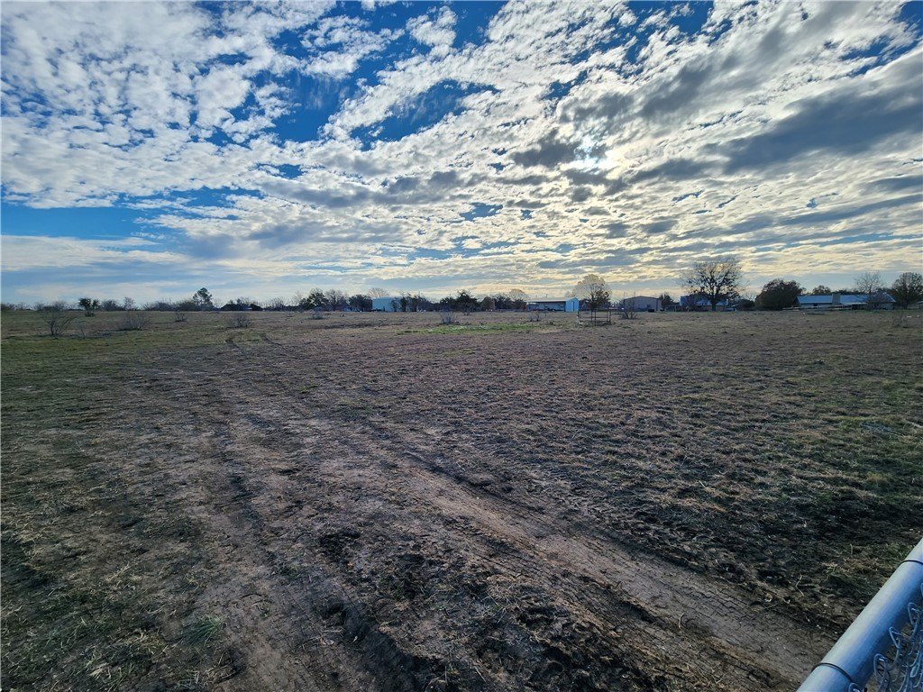 Picture 4