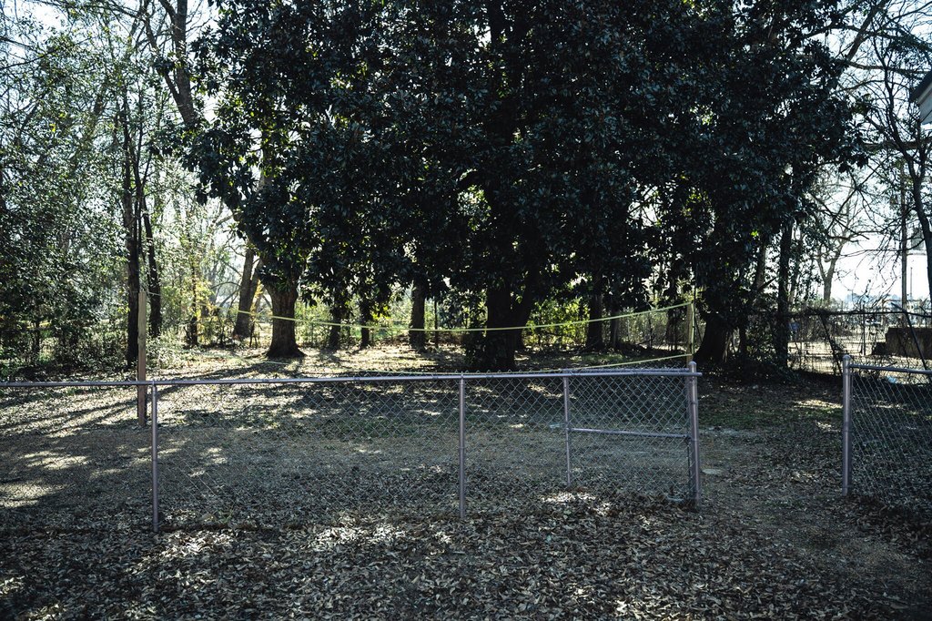 Picture 19