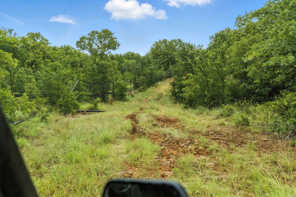 Picture 19