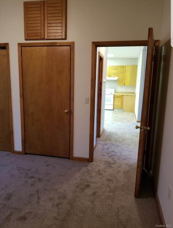 Picture 29