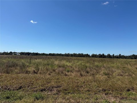 Land, BOWLING GREEN, FL