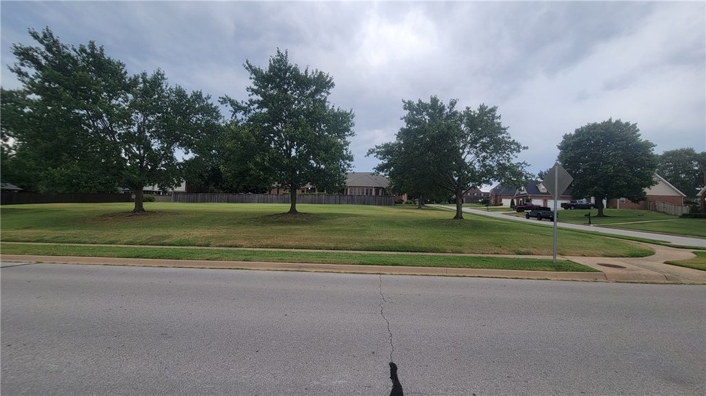 Picture 3