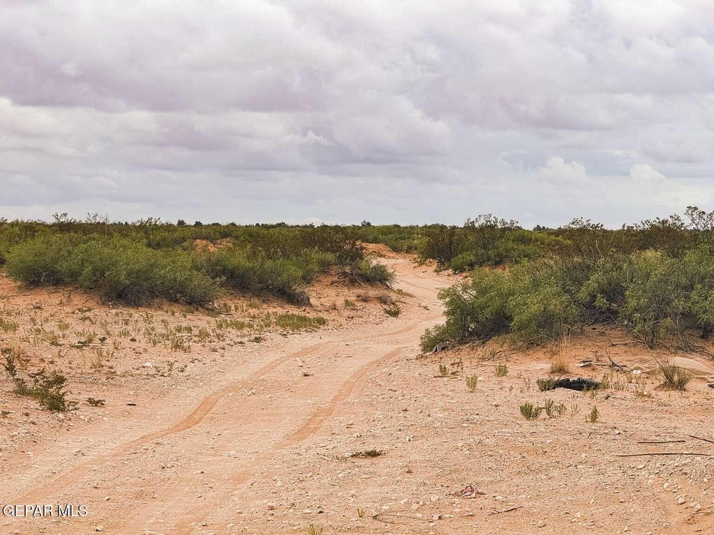 Picture 32