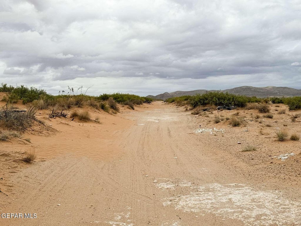Picture 30