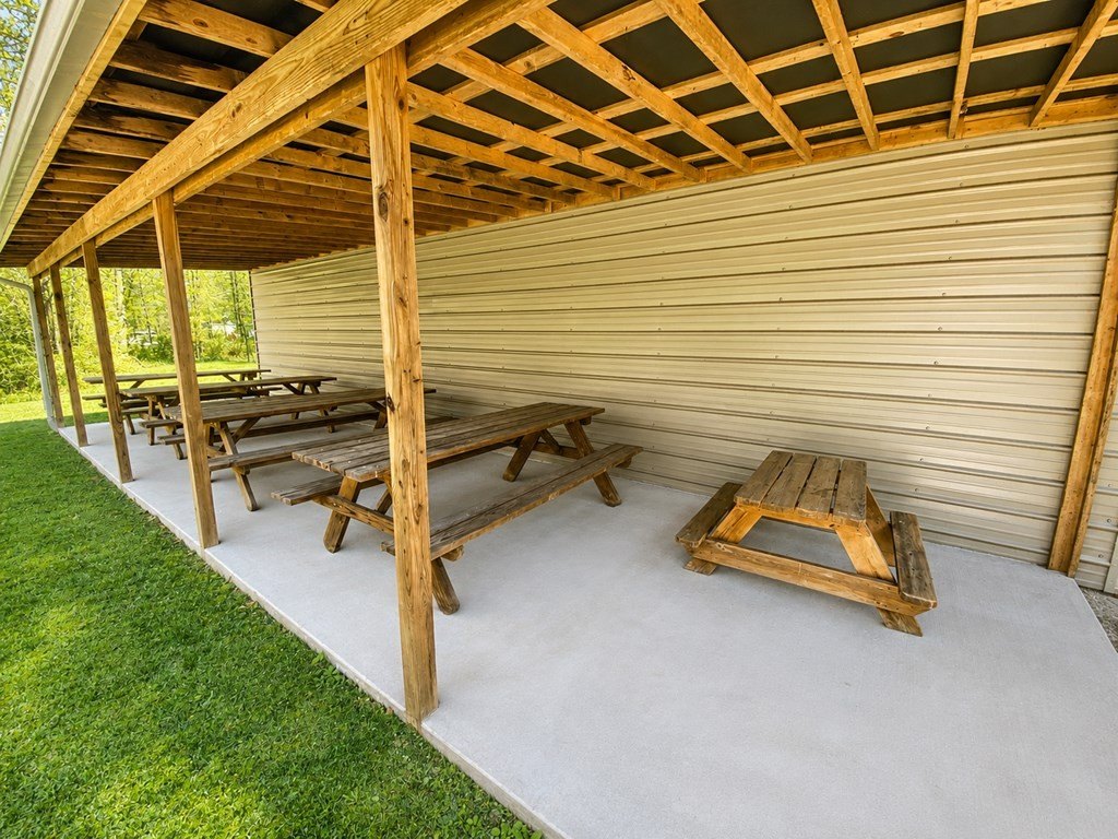 Picture 11