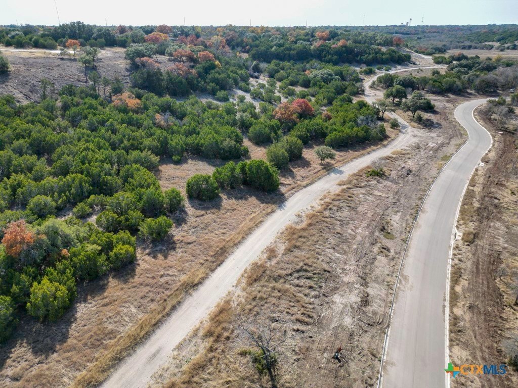 Picture 25