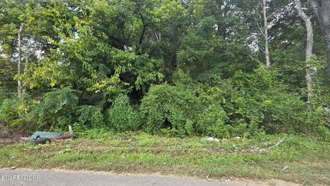 Lots & Acreage, Knoxville, TN