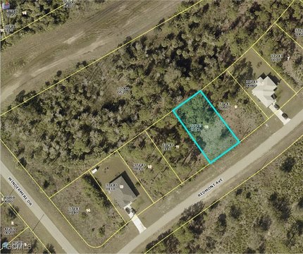 Residential Lot in Lee, FL