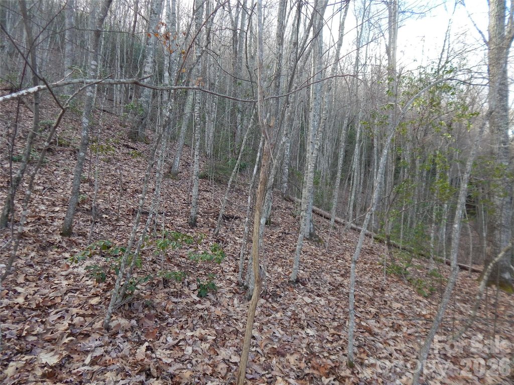 Picture 30