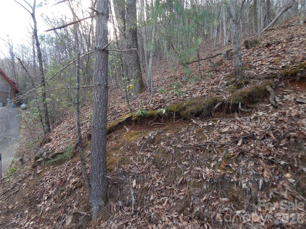 Picture 16