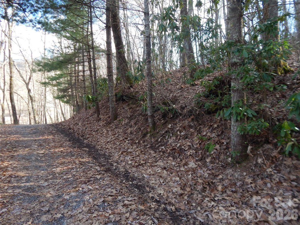 Picture 18