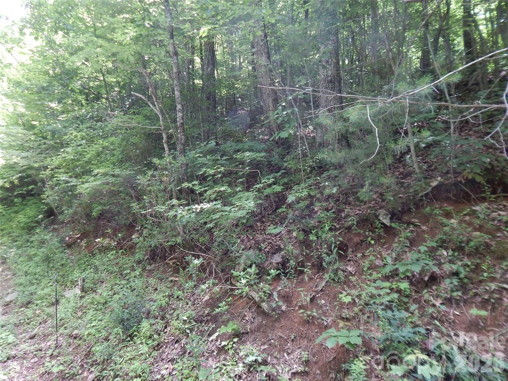 Picture 37