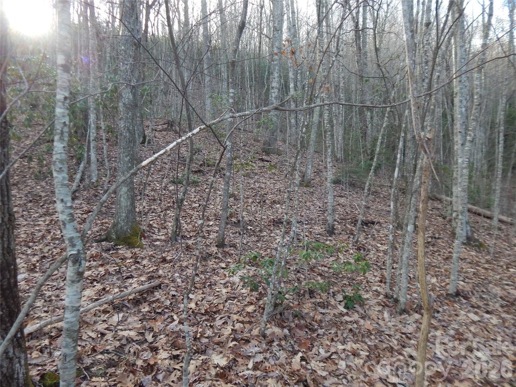 Picture 28
