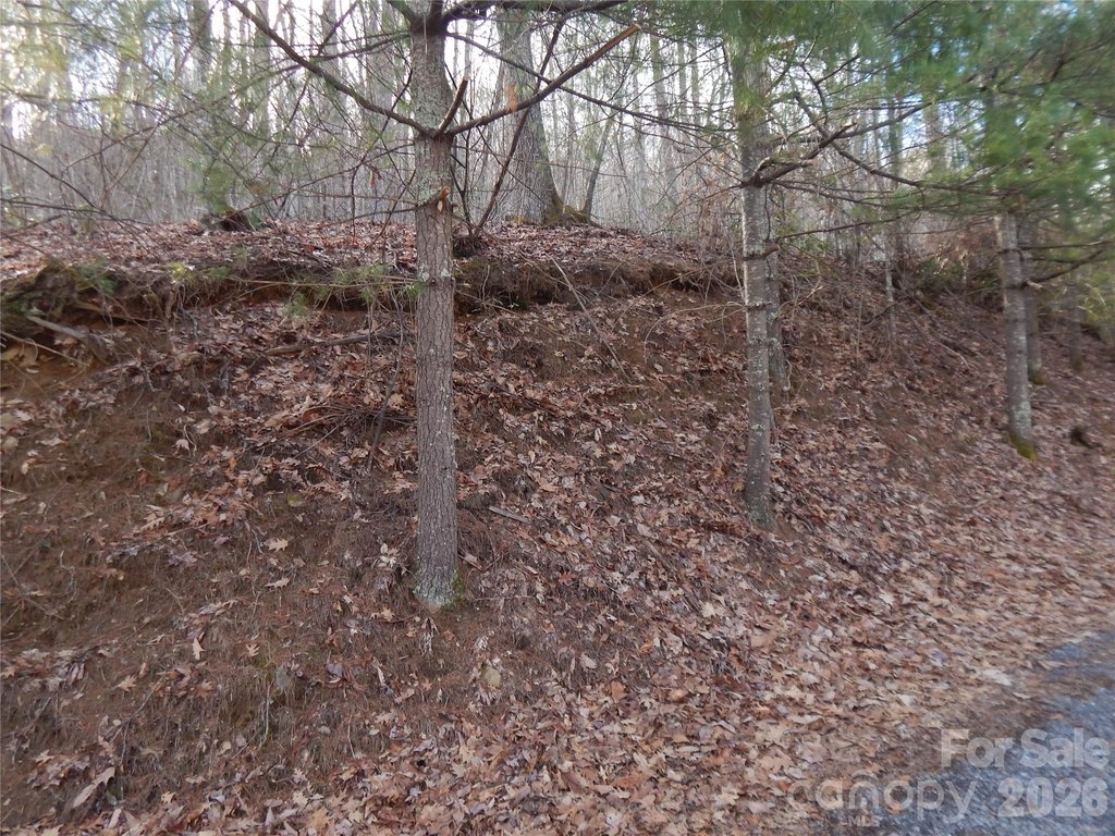 Picture 25