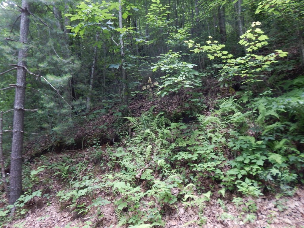 Picture 7