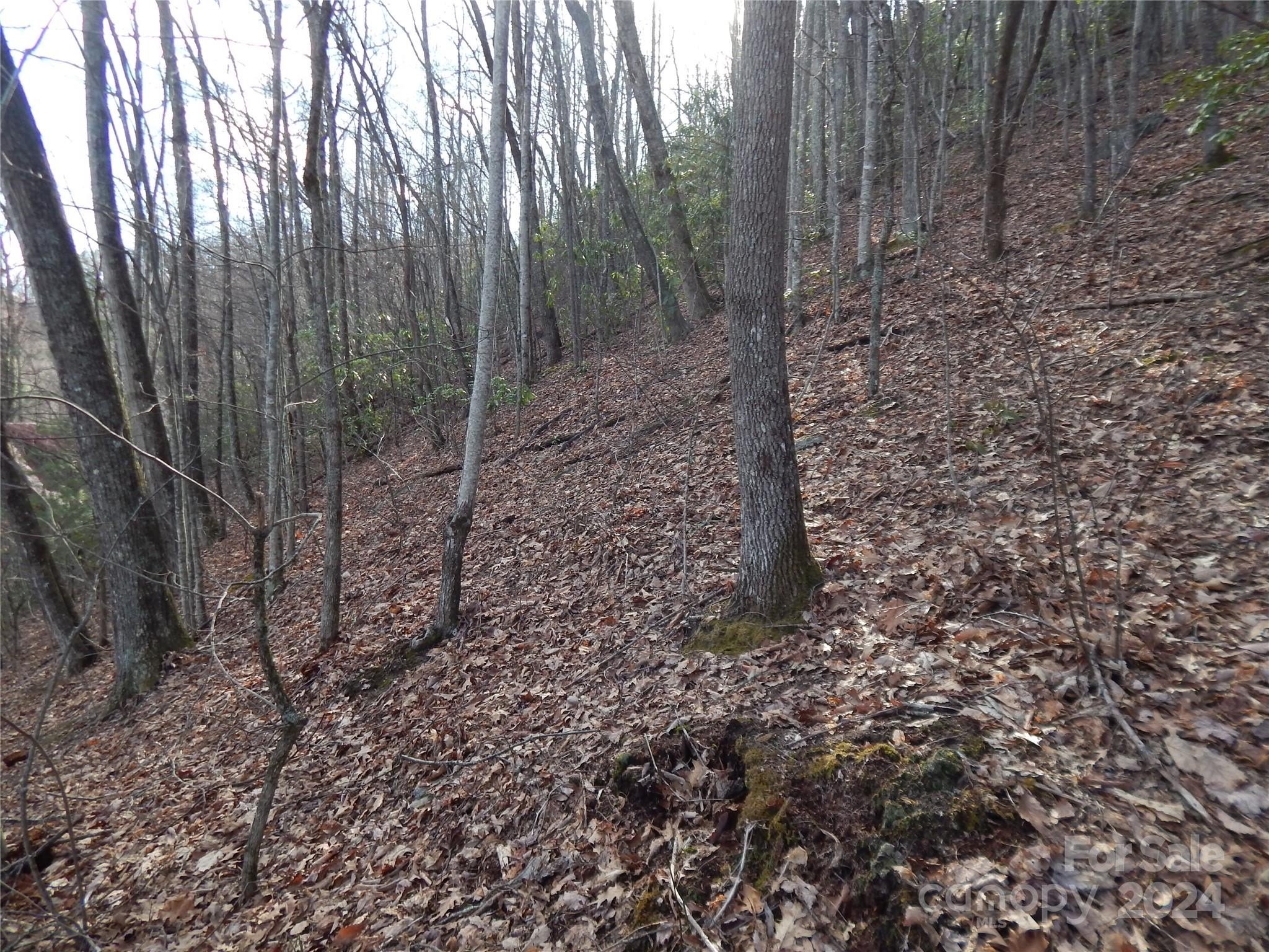 Maggie Valley Land For Sale