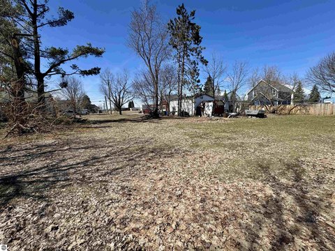 Vacant Lot/Land - Cadillac, MI