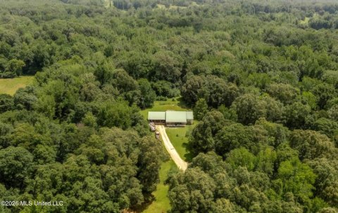 60 Acres Land in Sarah