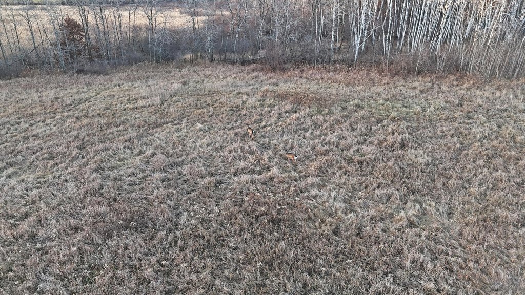 Picture 30