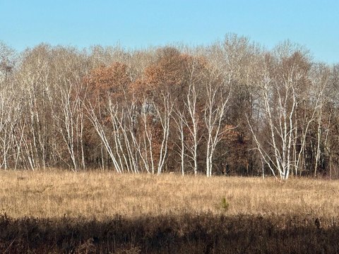 Recreational Hunting Land Tract