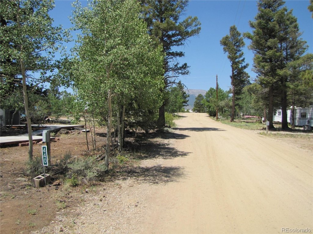 Picture 4