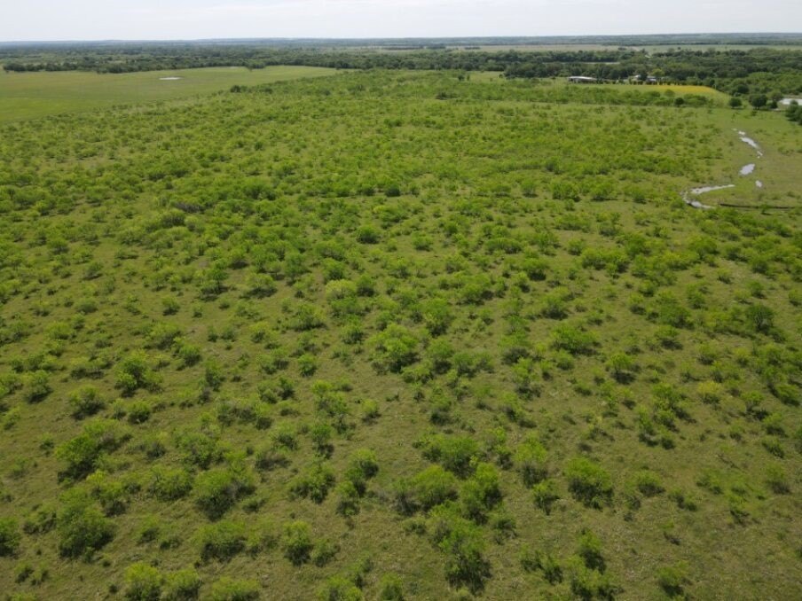 Picture 7