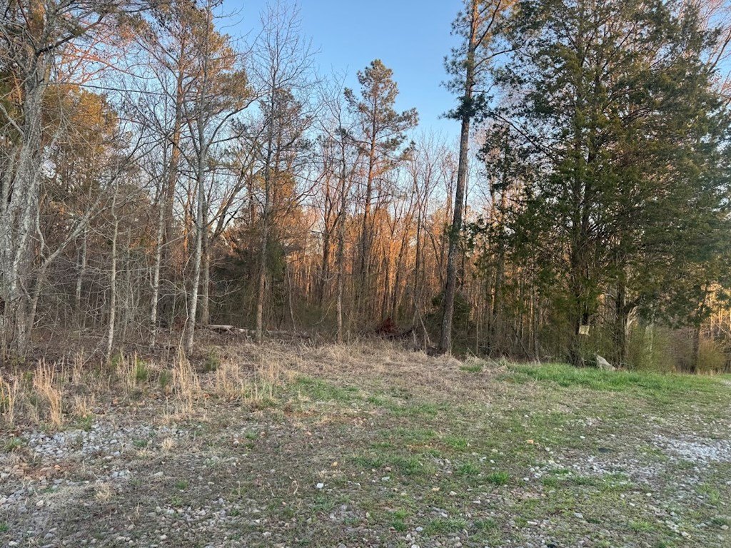 Picture 5