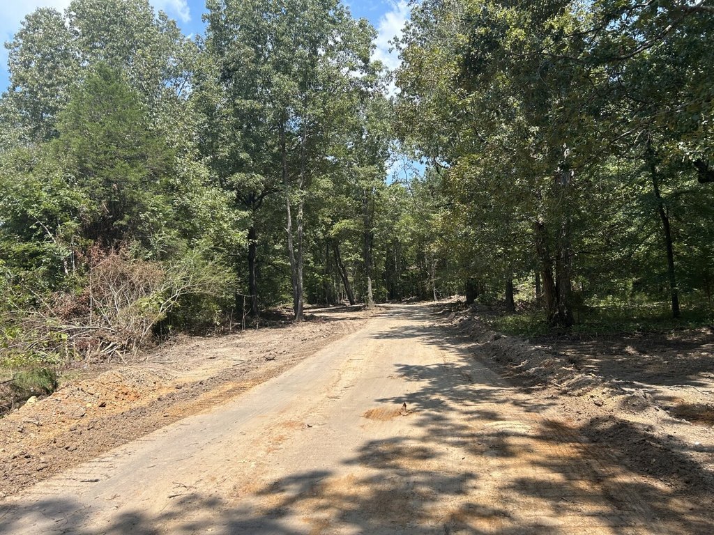 Picture 4