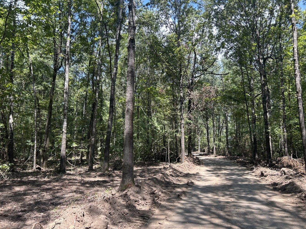 Picture 23