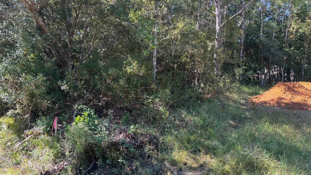 Picture 4