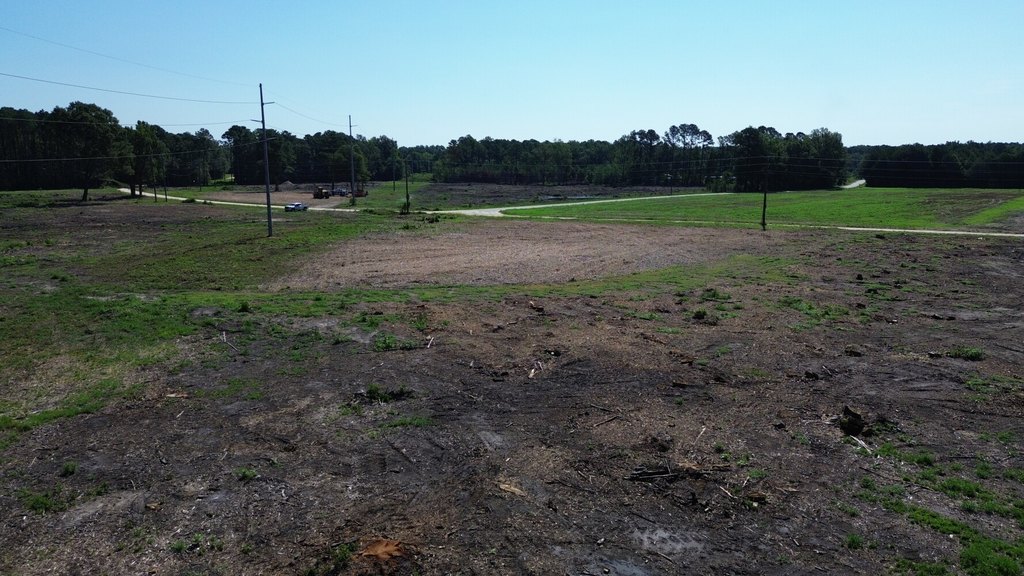 Picture 6