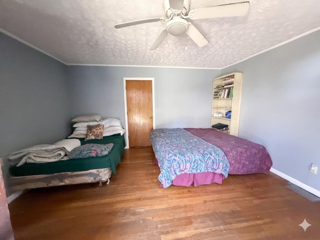 Picture 20