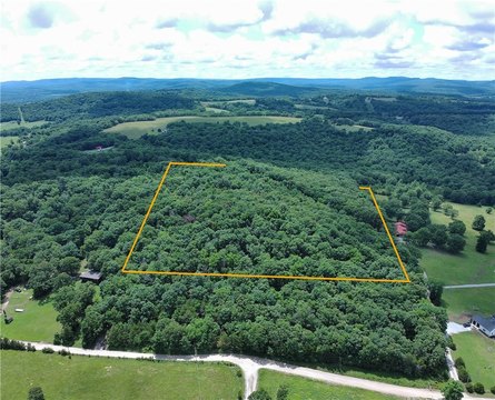Wooded Land in Elkins, AR