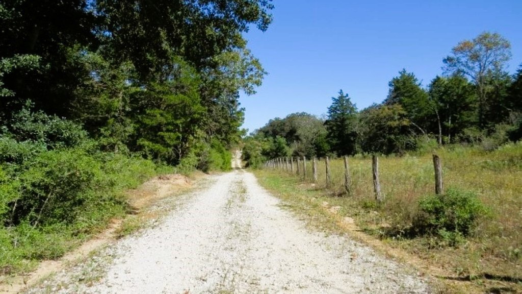 Picture 16