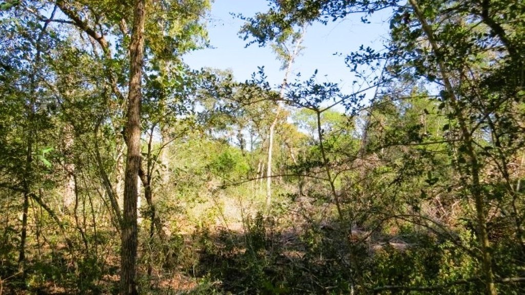 Picture 7