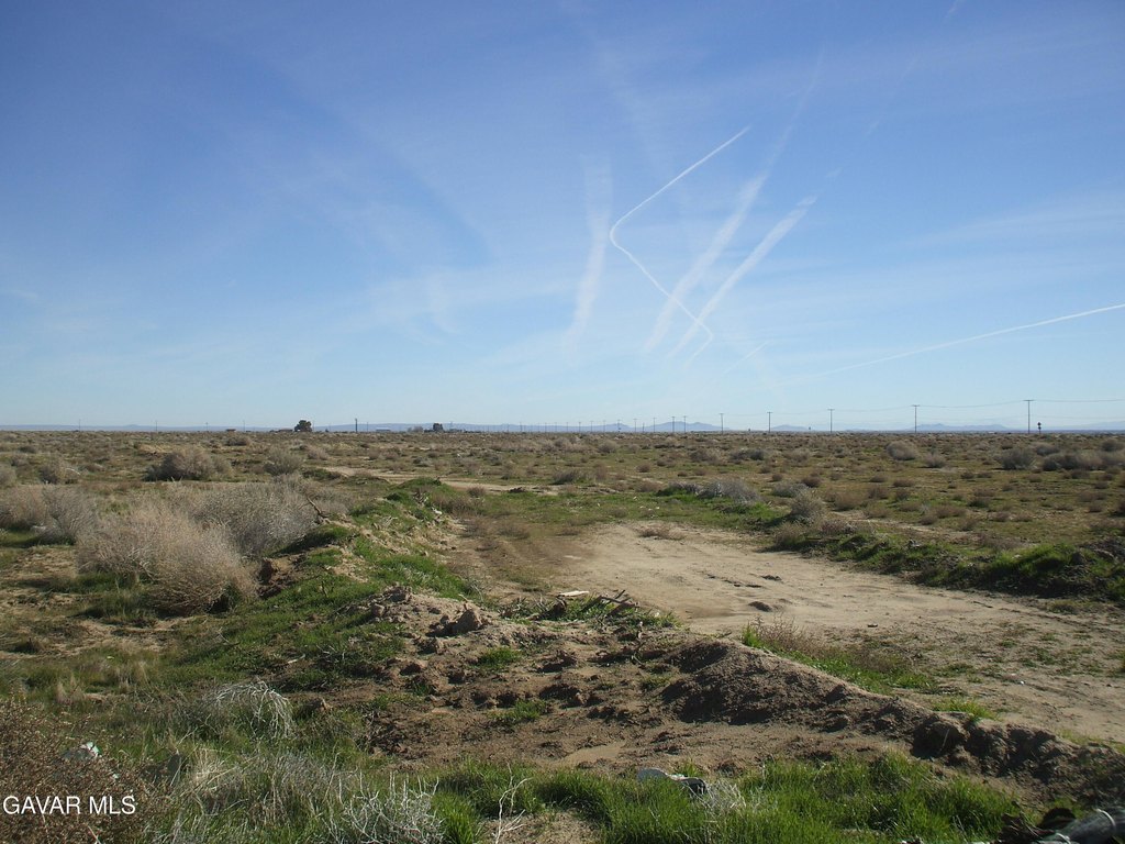 Picture 9