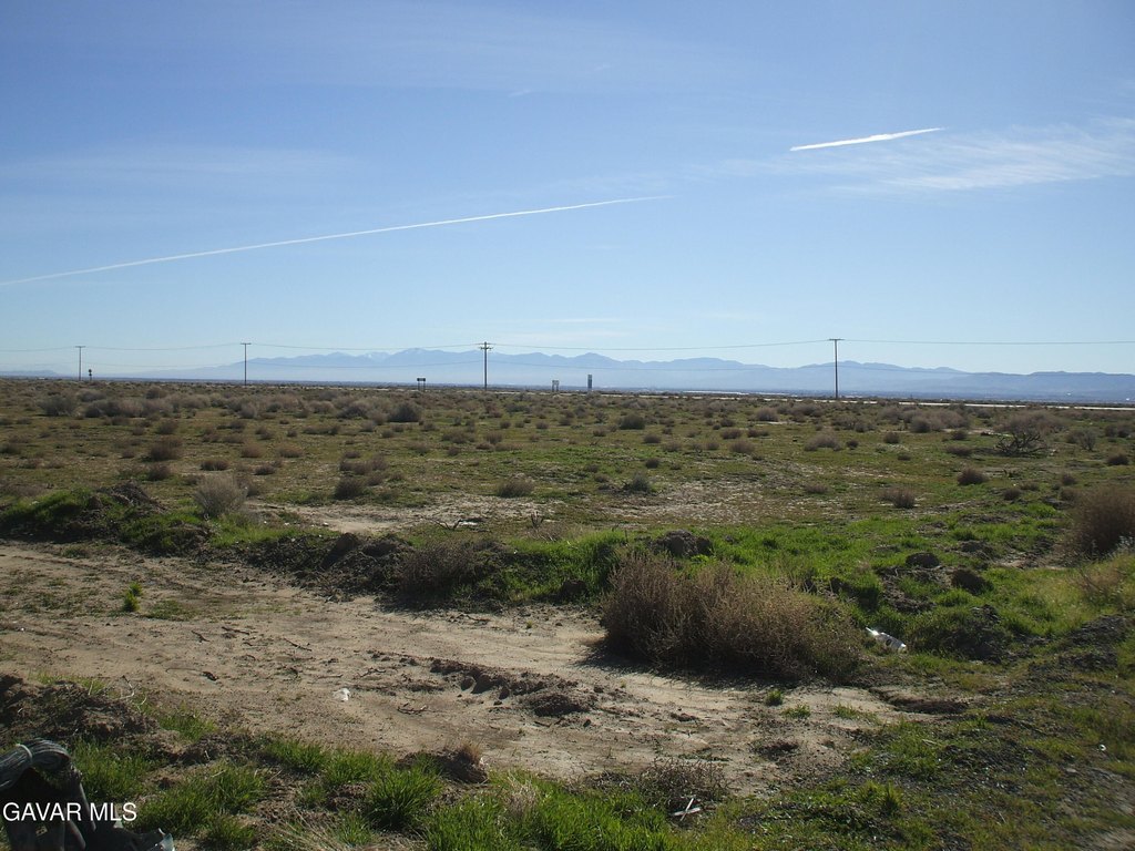 Picture 10
