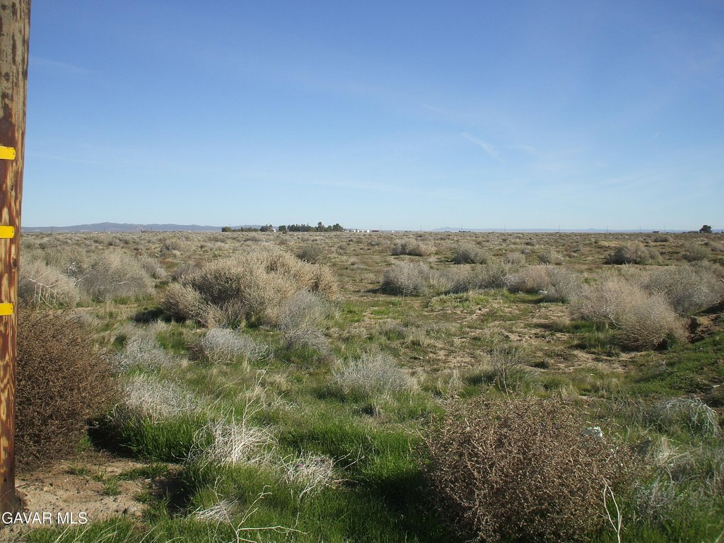Picture 8