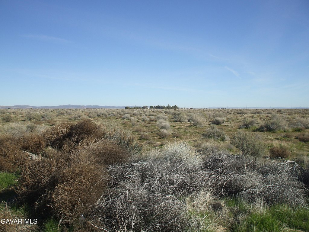 Picture 3