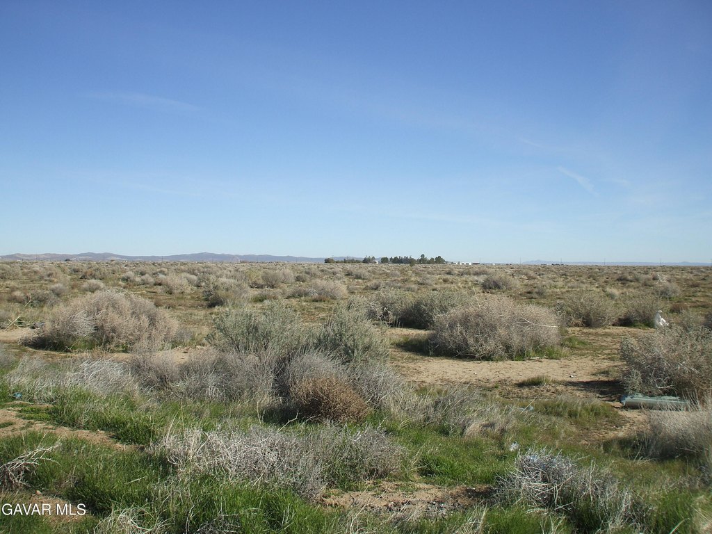 Picture 6
