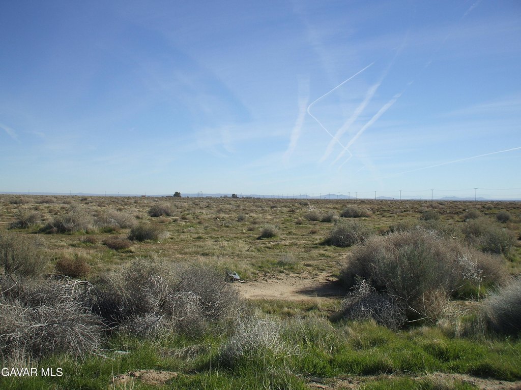 Picture 4