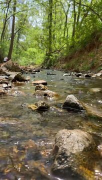 LAND - Decatur, AR