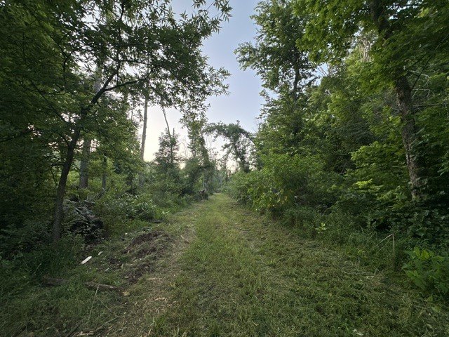 Picture 16