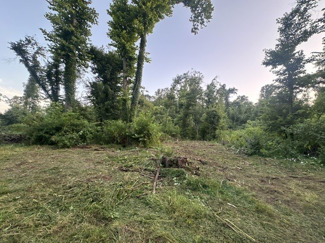 Picture 14