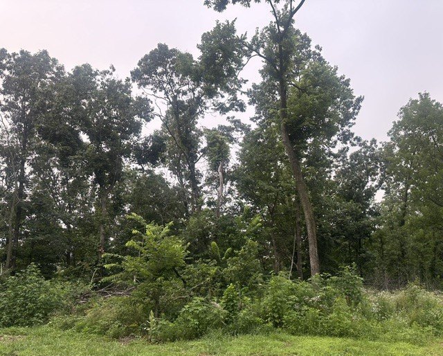 Picture 16