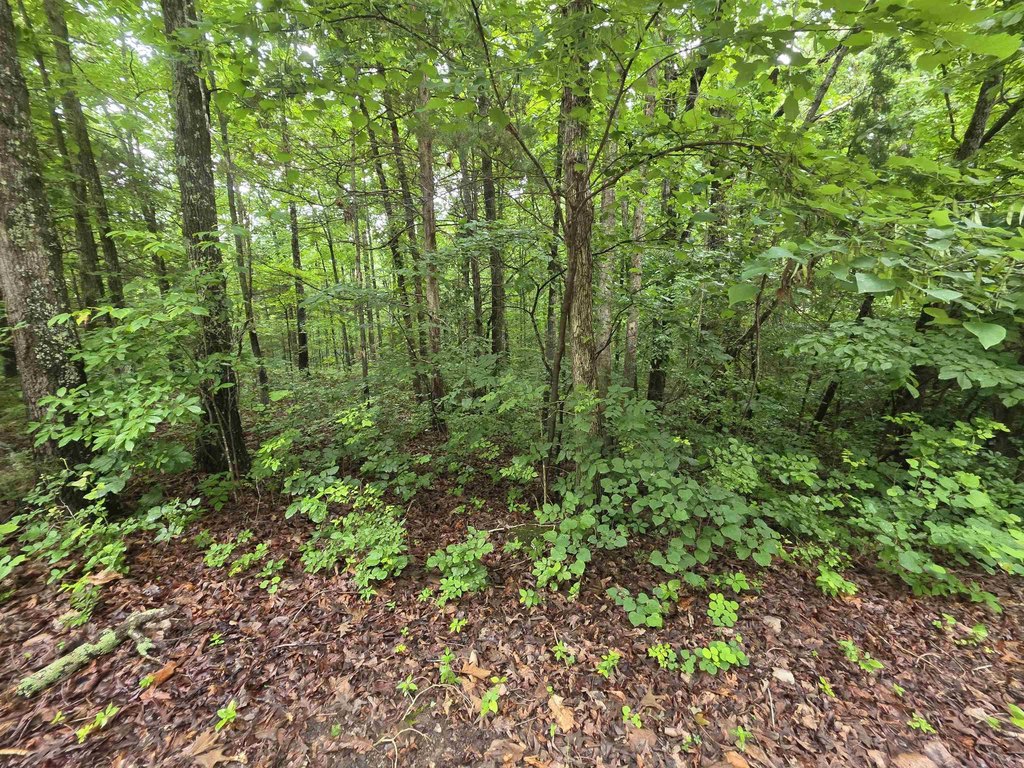 Picture 19