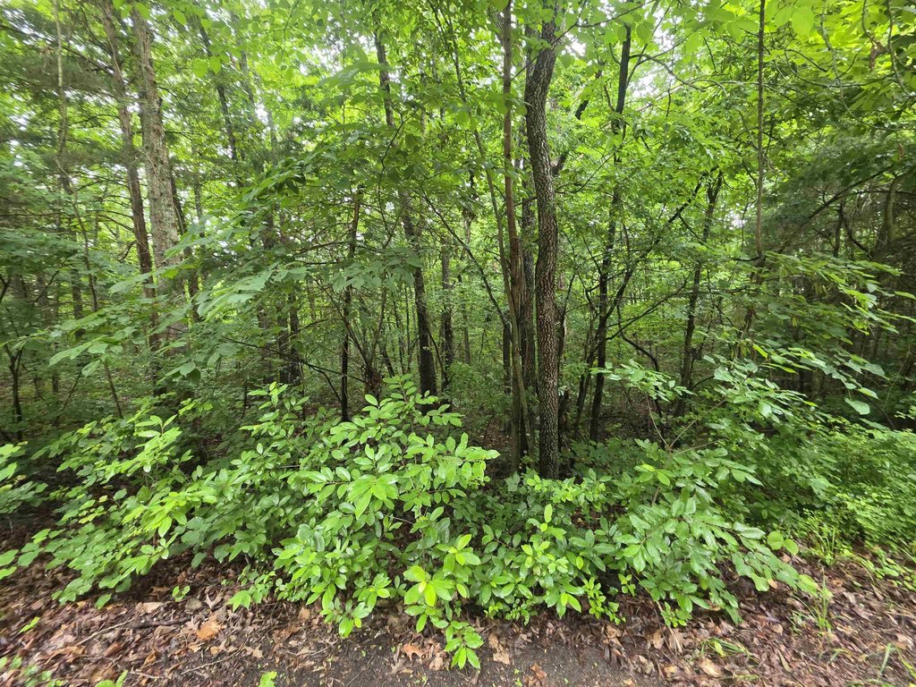 Picture 20