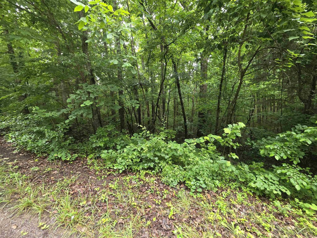 Picture 11